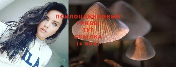 наркотики Няндома